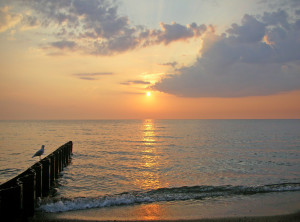 sunrise at camp sherwin