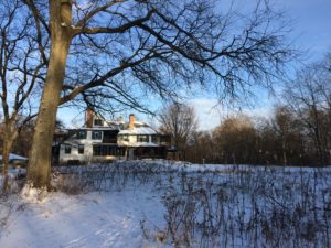 trees, snow, house